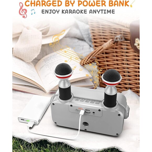 Karaoke Machine for Kids & Adults - KSAN VF-303 KARAOKE MACHINE FAMILY KTV - Picture 9 of 9